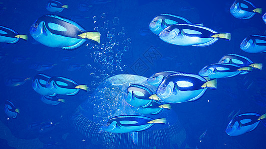 美妙的热带海洋生物 热带水下海洋生物和热带美丽的水下海洋景观 绿藻和神秘的水母 3D 渲染海蜇生活团体潜水动物墙纸荒野野生动物水图片