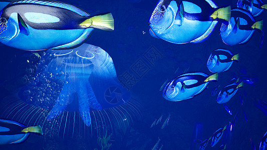 美妙的热带海洋生物 热带水下海洋生物和热带美丽的水下海洋景观 绿藻和神秘的水母 3D 渲染团体水族馆荒野环境蓝色野生动物游泳海蜇图片