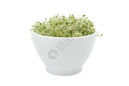 在白色背景的杯子里 有机年轻的光发小芽发芽生长饮食豆类农业食品蔬菜豆芽纤维健康背景图片