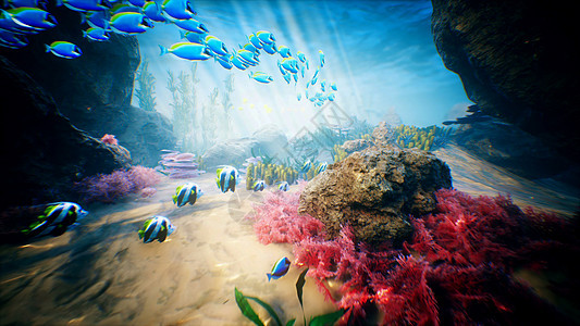 水下海洋海浪和热带鱼类3D转化波纹环境射线太阳流动荒野潜水渲染深海3d图片
