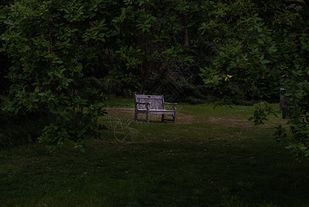 花园里的古董木椅 在下午花园里放松的概念图片