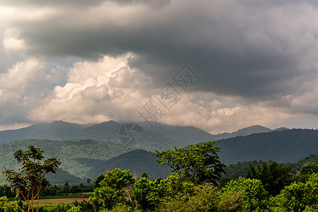 泰国的绿色田野和步行道 山地风景背景 蓝天云层蓝色植物树木晴天人行道火山植物学天空环境山脉图片