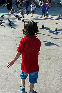 小孩在饥饿的鸽子群中 在街上喂养自由生活孩子城市鸽子斗争摄影营养岩石鸟类图片