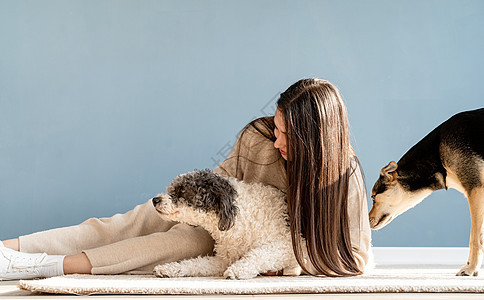 美丽的女人 带着有趣的狗 在家中拥抱动物黑发犬类训练朋友小狗女性喜悦蓝色成人图片