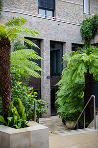 灰色建筑物入口处的植物和小棕榈树窗户玻璃公寓景观扶手建筑学楼梯英语入口风格图片