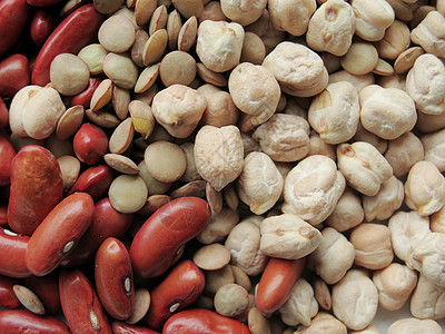 特写 扁豆和鹰嘴豆背景谷物农业白色节食食物营养收成豆类美食豆子图片