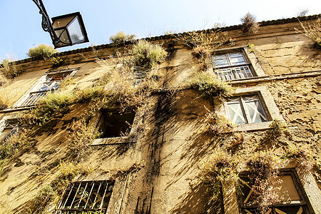 Lisbon街上有植物的旧面孔建筑学居住房子景观公寓灯笼首都场景阳台传统图片