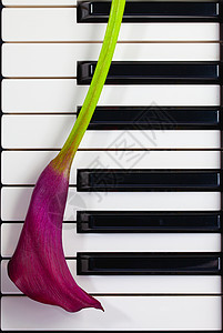 暗紫外线在钢琴键上图片