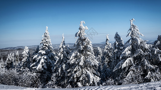 冬季山地景观天空晴天冻结全景季节木头冒险爬坡风景山脉图片