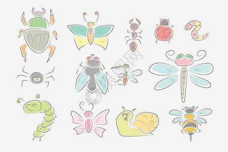 各种昆虫设置手绘惠特图片