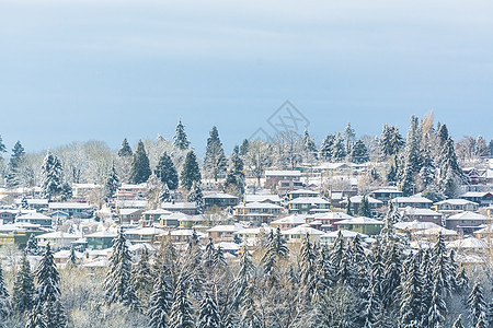 冬季寒冬在下雪的郊区住宅图片