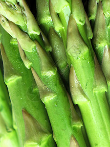 Asparagus 缝合烹饪发芽农业蔬菜蒸汽绿色植物植物宏观沙拉维生素图片