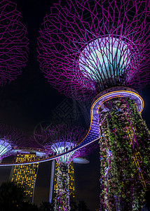 晚上从海湾旁看花园新加坡雕塑建筑地标首都技术旅游蓝色景观商业吸引力图片