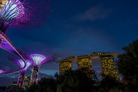 晚上从海湾旁看花园新加坡蓝色化身场景雕塑照明树林天空地标建筑学游客图片