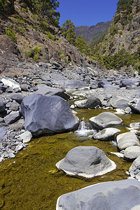 国家公园 加那利群岛 西班牙山沟旅游生态保护区岩石保护溪流观察环境生物图片