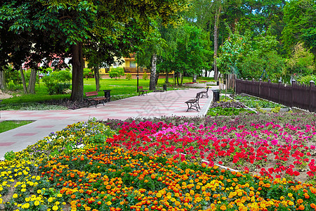 色彩多彩的夏季公园图片