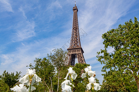 巴黎埃菲尔铁塔城市蓝色地标建筑学旅游景观历史性公园天空纪念碑背景图片