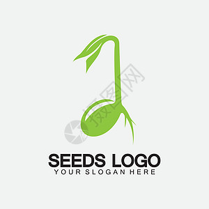 植物种子标志概念模板标志插图设计模板食物土壤生物花园公司农场生态标识生活发芽图片