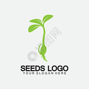植物种子标志概念模板标志插图设计模板园艺生物农场食物花园公司叶子土壤生活商业图片