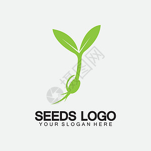 植物种子标志概念模板标志插图设计模板植物群生物叶子园艺花园标识环境商业生活发芽图片
