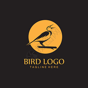 鸟标志矢量图标设计模板公司标识商业羽毛鸽子标签动物徽章创造力身份图片
