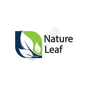 自然符号模板的叶标志设计矢量可编辑 绿叶标志生态自然元素矢量图标商业生物植物环境营销品牌艺术标签卡片生活图片