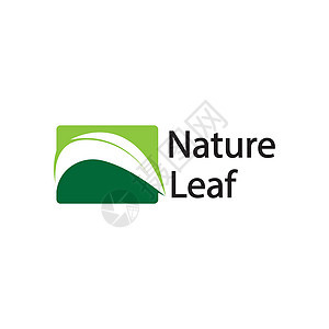 自然符号模板的叶标志设计矢量可编辑 绿叶标志生态自然元素矢量图标生物网络营销身份卡片标识叶子艺术字体标签图片