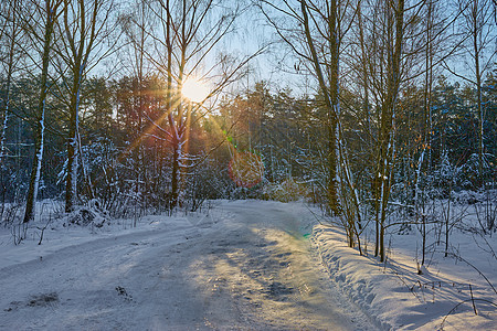 在阳光明媚的冬季日子里 狭小的雪地森林道路曲线路线魔法车道越野小路橡木土地运输远景图片