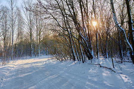在阳光明媚的冬季日子里 狭小的雪地森林道路风暴太阳地球小路气象脚印驾驶车道越野运输图片