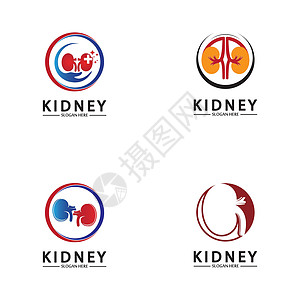 健康和护理肾脏标志设计理念 泌尿外科标志矢量模板医院器官透析技术医生生物学科学插图身体医疗图片