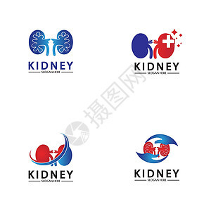 健康和护理肾脏标志设计理念 泌尿外科标志矢量模板插图生物学解剖学身体医疗科学标识疾病器官医生图片