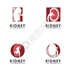 健康和护理肾脏标志设计理念 泌尿外科标志矢量模板技术科学生物学器官白色医院身体解剖学疾病艺术图片