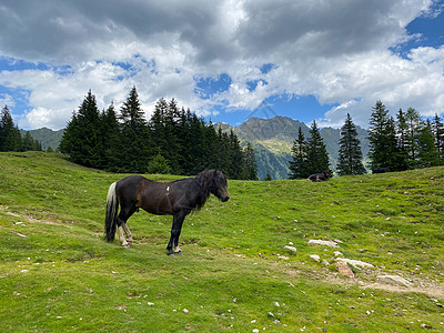 牧场上的马 奥地利迪西兹卡西湖风景小路天空踪迹岩石旅游高山远足肺炎旅行图片