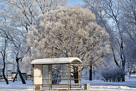 冬季公园背景下的城内交通室内停靠 以冬季公园为背景图片