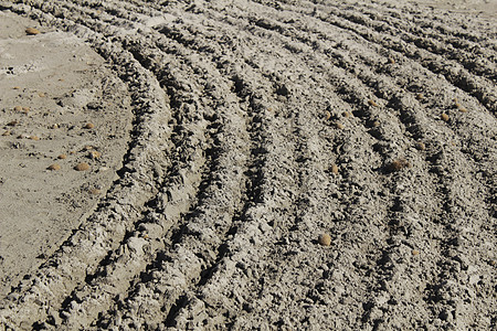 beac 上的沙纹纹理沙丘海岸线娱乐海滩海岸螺旋支撑天堂土块曲线图片