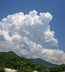 高山上的云柏树树木国家天空晴天乡村杨树山脉绿色森林图片