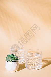带有热带棕榈叶影子和苏养植物的糊面背景玻璃杯水饮料玻璃褐色矿物肉质阴影棕榈阳光液体图片