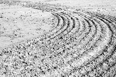 beac 上的沙纹纹理土块土地曲线螺旋粮食海岸线海岸地形娱乐地面图片
