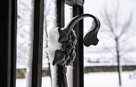 在寒冷的冬天 da 上充满雪的金属保护锻件的细节街道栏杆艺术公园降雪季节栅栏雪花蓝色古董图片