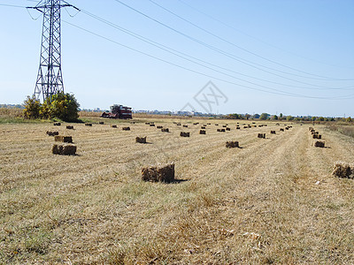 收割后有草篮的农业田草垛农村农场粮食蓝色土地黄色干草乡村草地图片