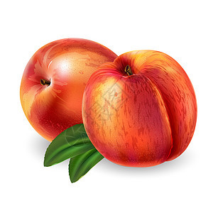 白背景有叶子的桃子餐厅美食包装饮食味道树叶营养食物维生素插图图片