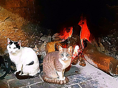 数字绘画风格代表白色 黑色和棕色斑点的年轻猫 在壁炉前升温图片