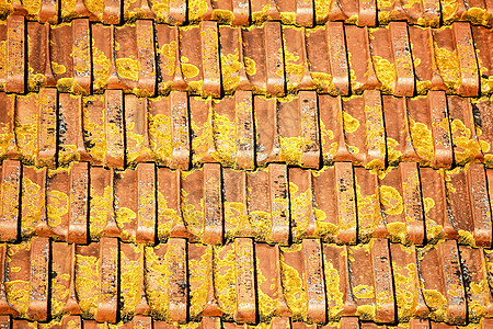 里斯本红瓦屋顶的图案制品陶瓷苔藓旅行黏土村庄住宅建筑风景平铺图片