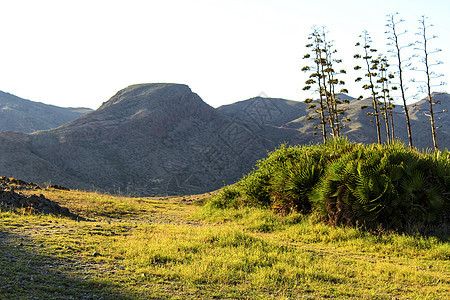 阳光明媚的西班牙阿尔梅里亚绿地景观晴天农村爬坡公园植被风车天空国家场地蓝色图片