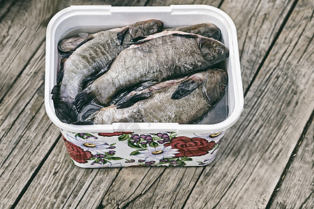 集装箱内的淡水鱼净化 b 容器中的淡水鱼团体烹饪钓鱼野餐爱好动物群鲇鱼液体食物内脏图片