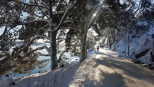 在斯堪的纳维亚 人们在冬天走来走去 一瞥海边一条有树线的街道图片