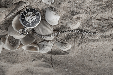 沙滩上沙子中的古董怀表和贝壳 倒挂图片
