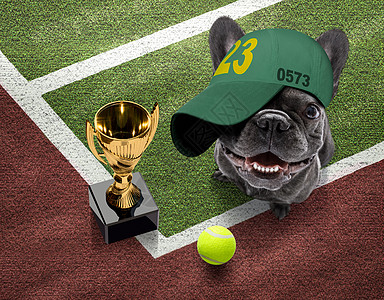 网球斗犬比赛分数竞技场训练帽子老师玩家地面宠物闲暇图片