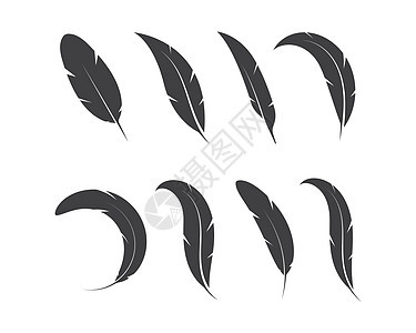 羽毛图标插图矢量模板动物写作棕色翅膀墨水重量孔雀绘画鹅毛笔白色背景图片