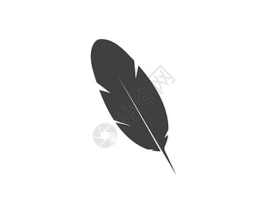 羽毛图标插图矢量模板棕色翅膀羽化鹅毛笔写作白色孔雀艺术黑色动物图片